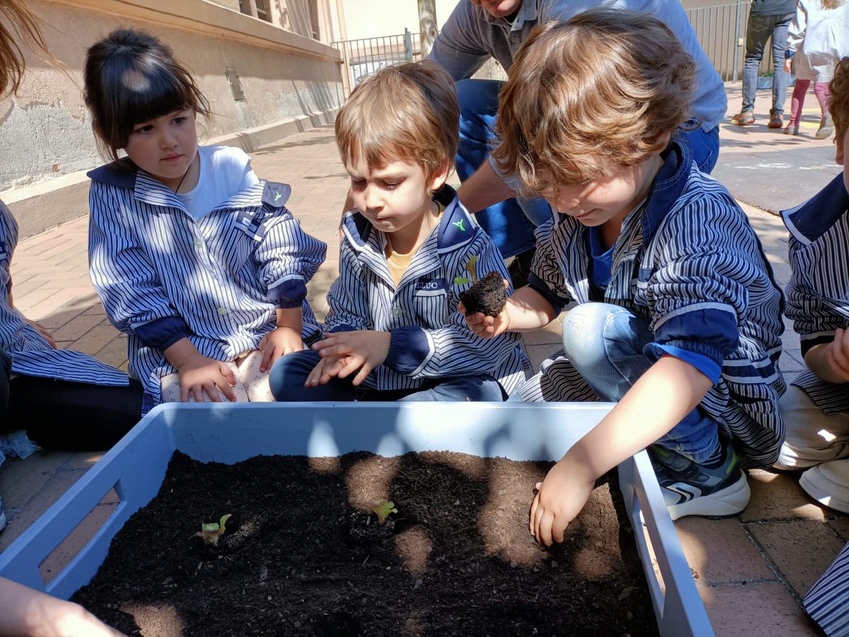 epiasabadell's tweet photo. FEM UN HORT A L’ESCOLA. Després de la sortida als horts que vam fer la setmana passada, els nens i nenes d'I4 hem decidit crear un hortet per la nostra escola.

#I4PIASABADELL
#INFANTILPIASABADELL
#SUMMEMPIASABADELL https://t.co/DTRwv2f0Qe