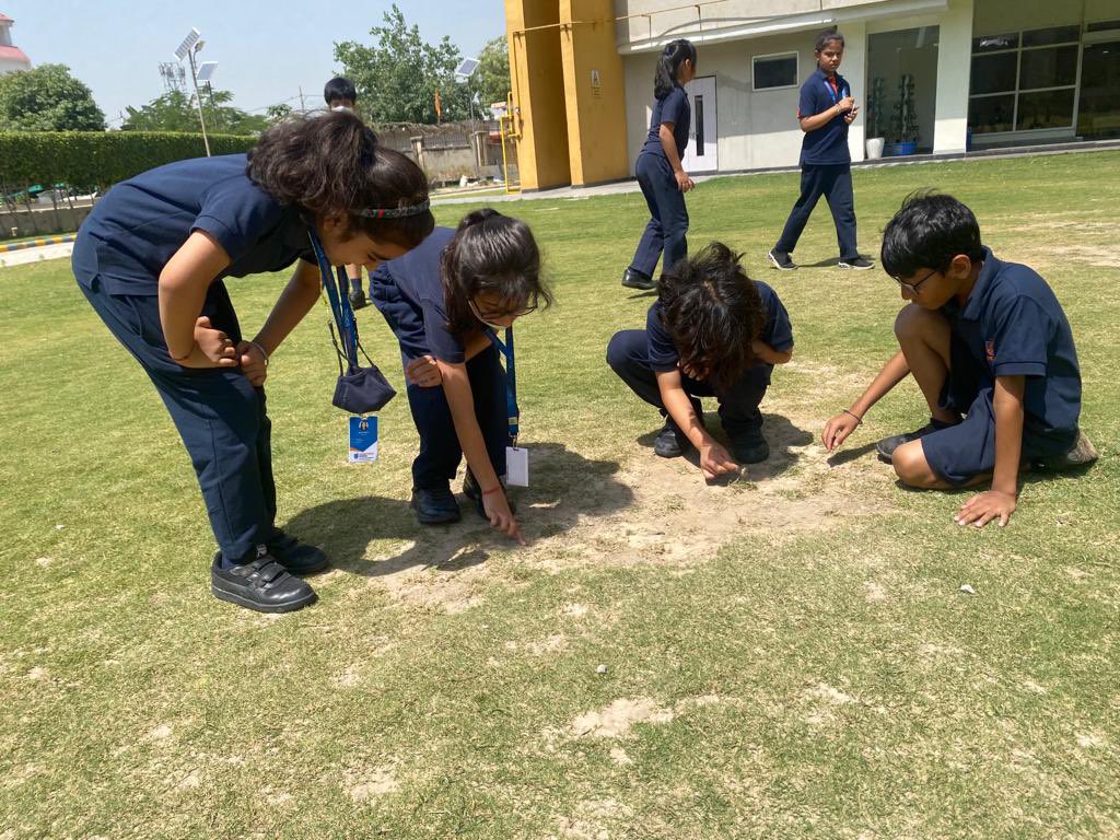 Akanksha Mishra tweet media