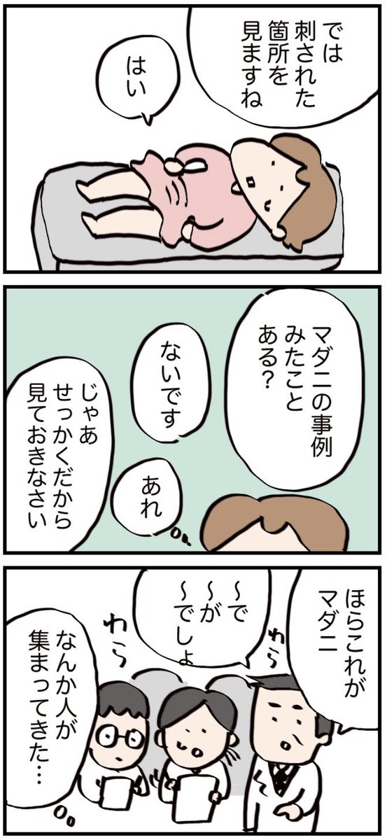 ■家の中でマダニに刺された話③(再掲)#漫画が読めるハッシュタグ