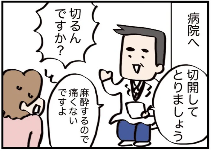 ■家の中でマダニに刺された話③(再掲)#漫画が読めるハッシュタグ