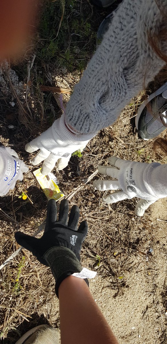 yemax1980's tweet photo. L'alumnat de 1r i 2n d'ESO de l'optativa d'Escola Verda @InsThos fent una acció climàtica, naturalitzen les platges i les dunes. https://t.co/PD1zBZa8Tc