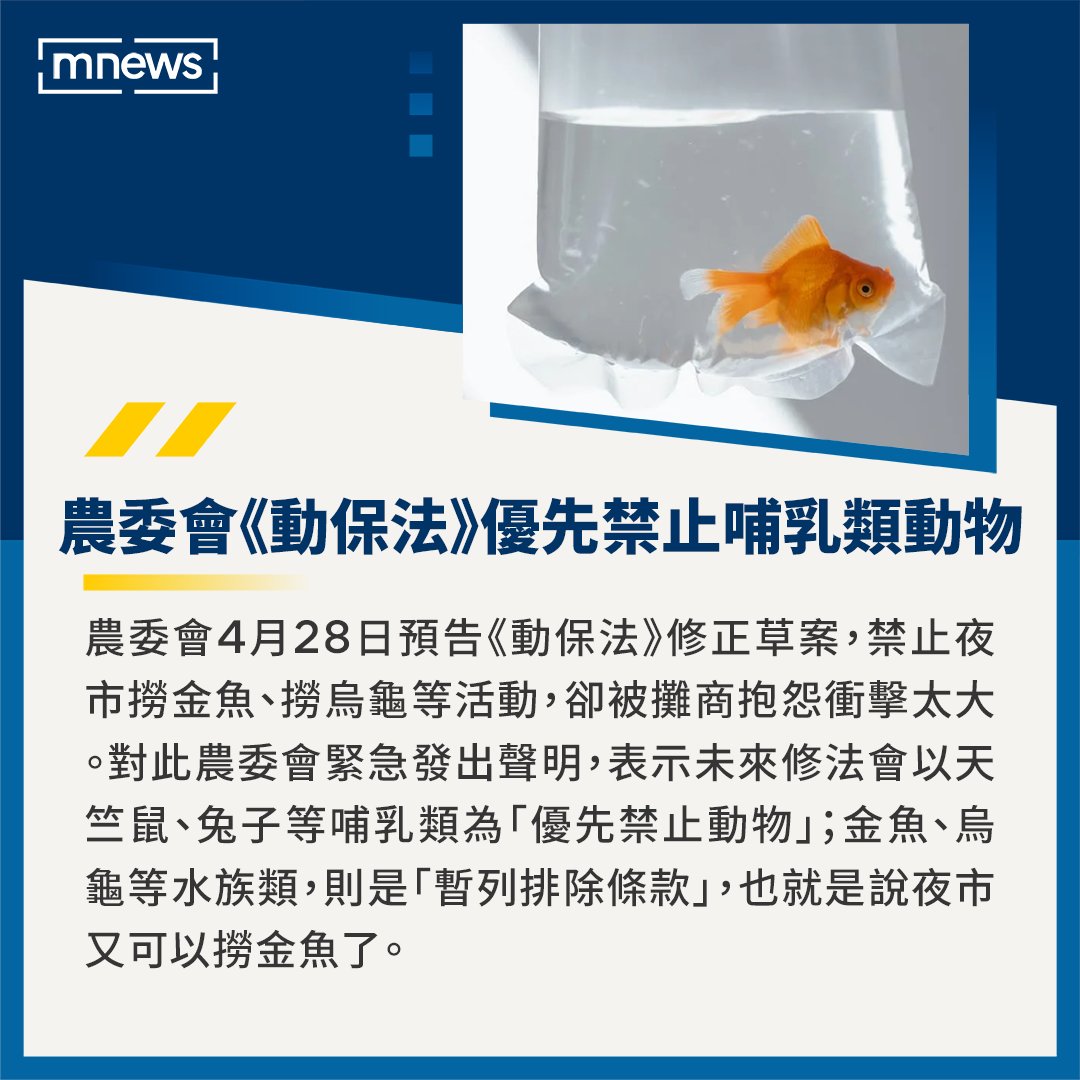 mnews_tw's tweet photo. 農委會表示，預告修法本來就要聽取各界意見， 強調會兼顧保護動物與業者生計！🎏

【逆轉！夜市可撈金魚　農委會：優先禁止哺乳類動物】https://t.co/k4dDINNISR

#農委會 #金魚 #夜市 #台灣 https://t.co/eCcJ7VWb8H