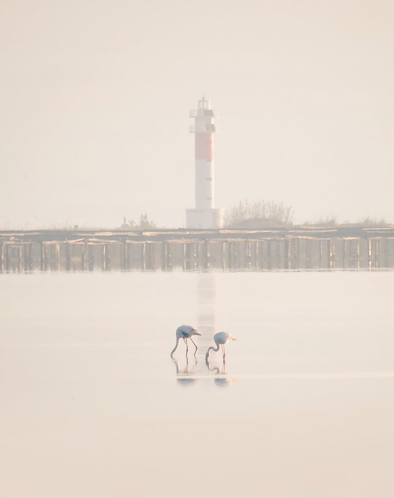 Albada d'avui a la badia del Fangar amb núvols, boira i calma total.
<a href="/catexperience/">Catalunya Experience</a> <a href="/lampollaturisme/">ampollaturisme</a> <a href="/terresebretur/">Terres de l'Ebre</a> <a href="/TurismeDeltebre/">Descobreix Deltebre</a> <a href="/PDE/">Defensa de l'Ebre</a> <a href="/SocEcoturista/">Ecoturisme Catalunya 💙</a> <a href="/visitcatalonia/">Visit Catalonia</a> <a href="/TurismeLaRapita/">Turisme la Ràpita</a>