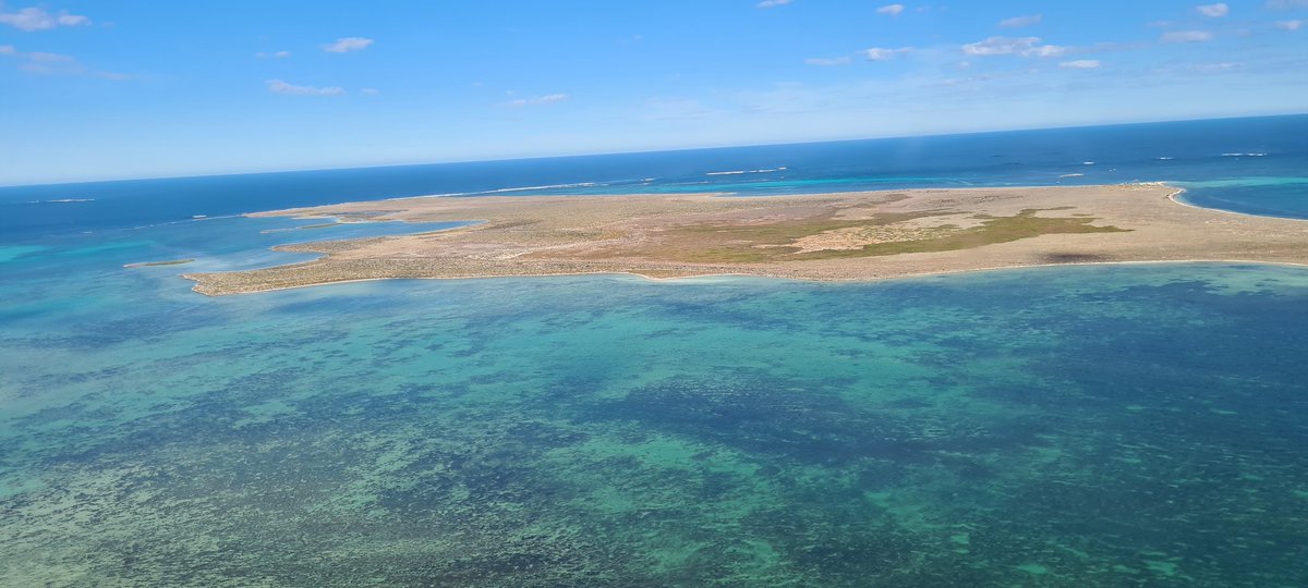 Abrolhos!! #wanderoutyonder #westernaustralia