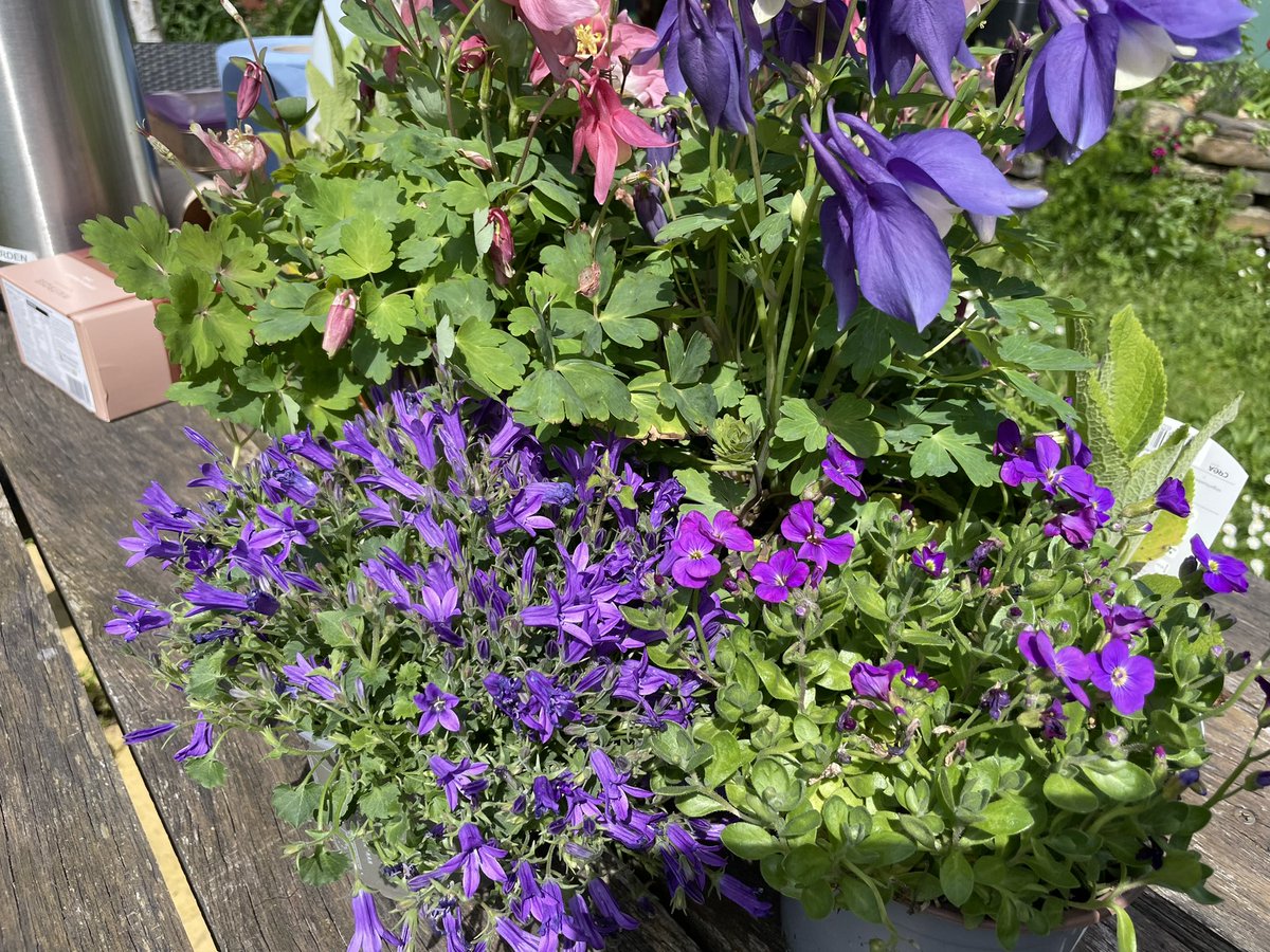 St Luke’s Volunteer Garden tweet media