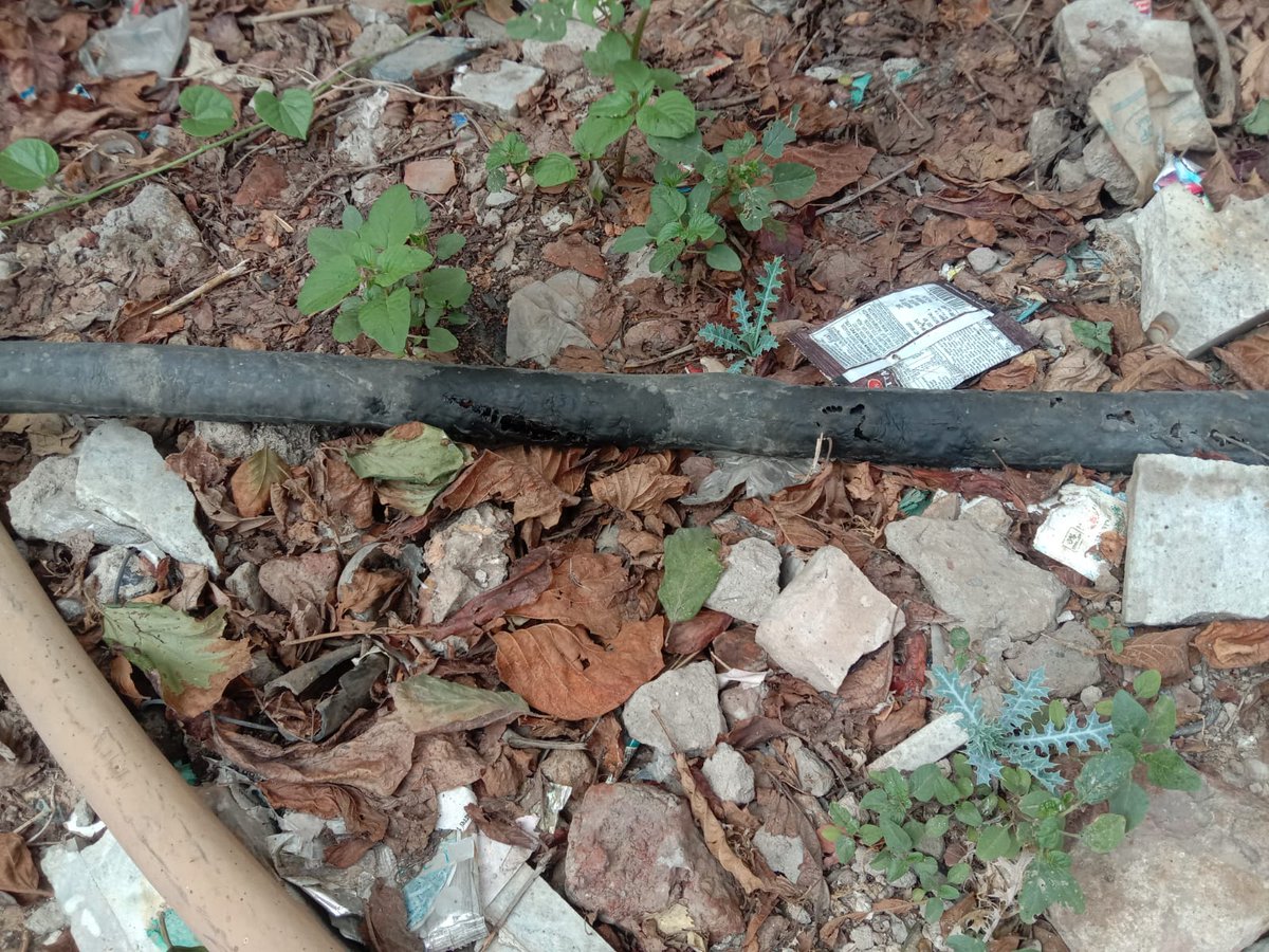 400kva sub station no 1
Edd 1 hathras LT cable lead 1 no
Damage &amp;no clean <a href="/dvvnlhathras/">DVVNL HATHRAS</a> @DvvnlWorkshop <a href="/e_aligarh/">E.E W/S Aligarh</a> <a href="/dvvnlhq/">Dakshinanchal Vidyut Vitran Nigam Limited</a>