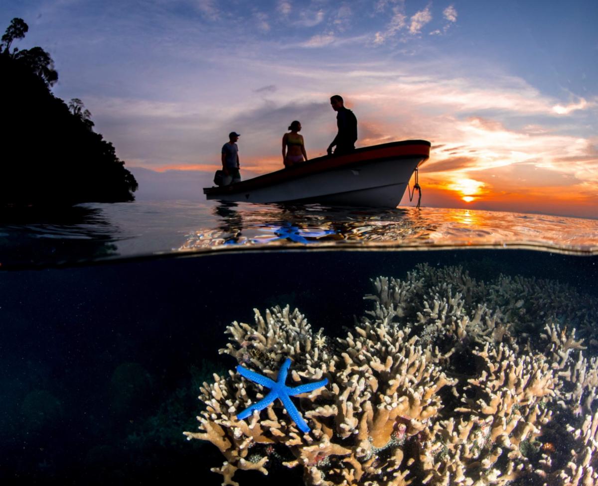 Take the helm for <a href="/CORDAP_/">G20 CORDAP</a>  🪸 Director of Development is needed for <a href="/CORDAP_/">G20 CORDAP</a> Flexible global location To find out more: bit.ly/3NgRvQo 
#fundraisingjobs #hiring #nonprofitjobs