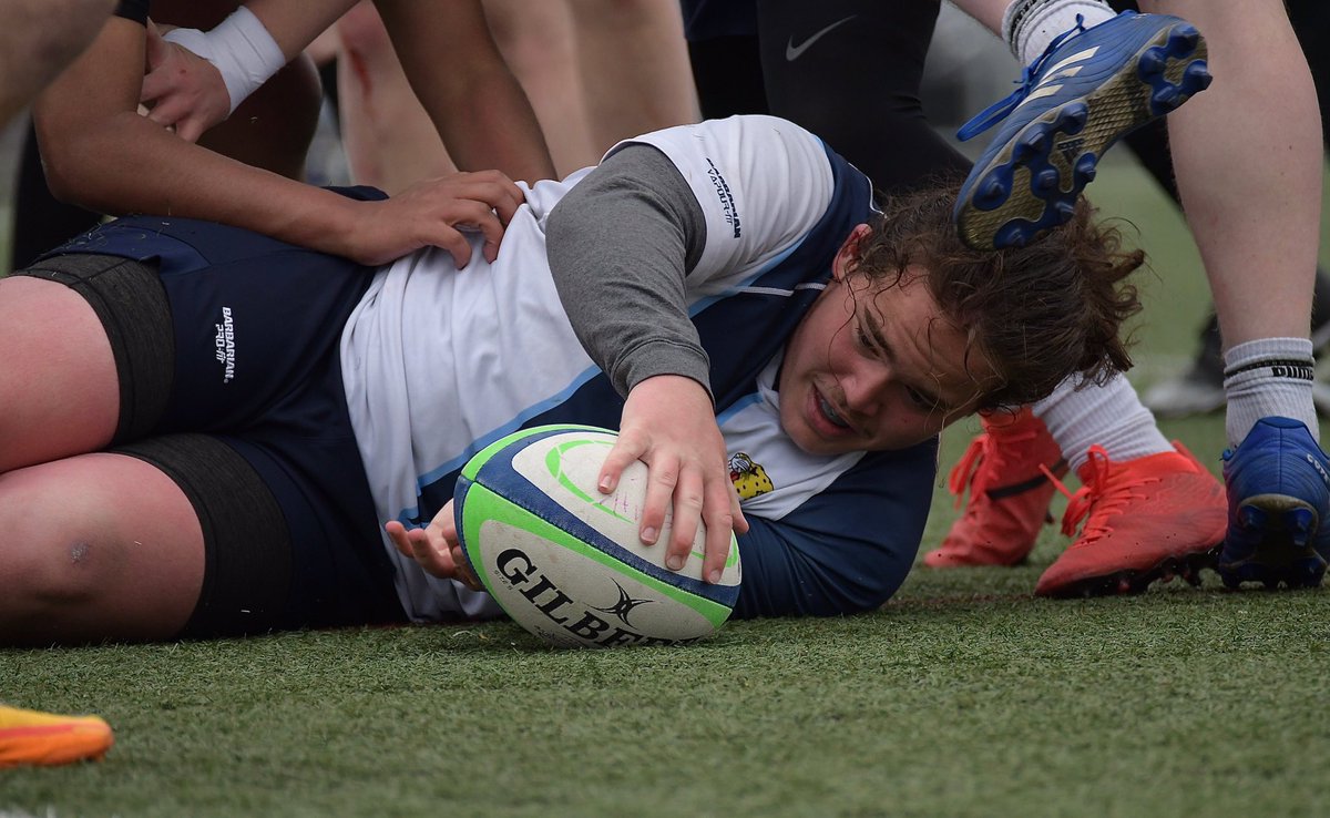 DW Photo tweet media