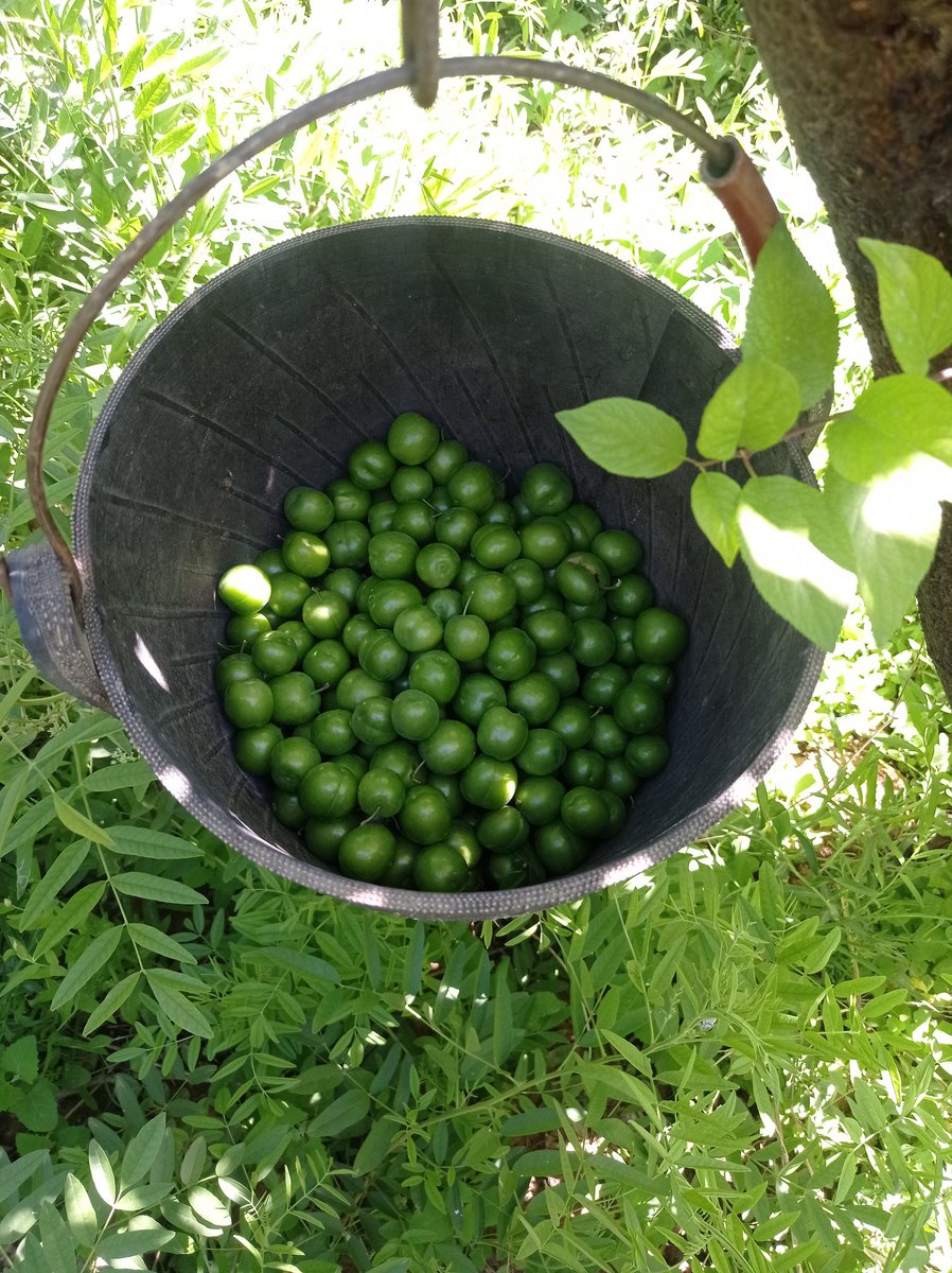 منو این همه خوشبختی محاااااله🥲