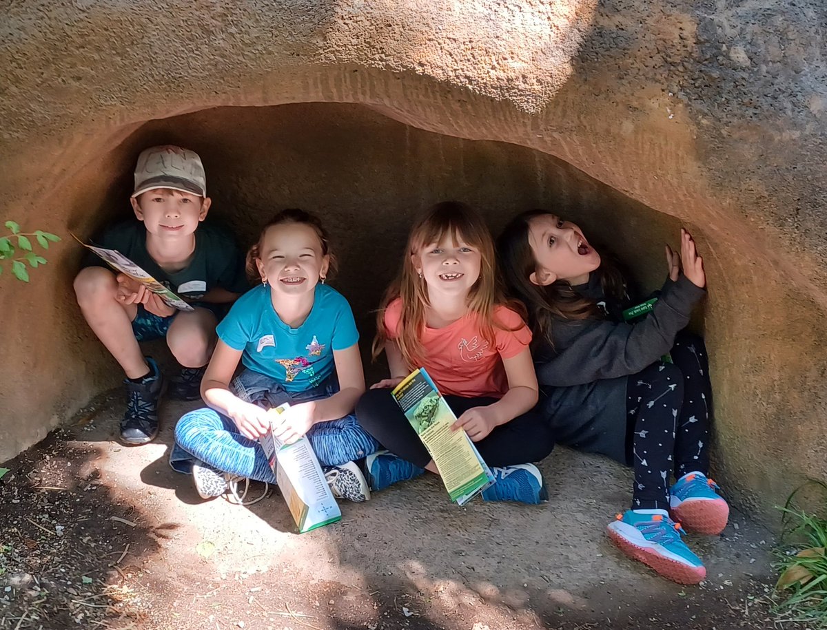 bmaibes's tweet photo. My Teaching Adventures landed me on the 1st grade Field Trip. It is such a beautiful day 🐵🦁🐧🐆🐯🦓 https://t.co/QQWE622j3a