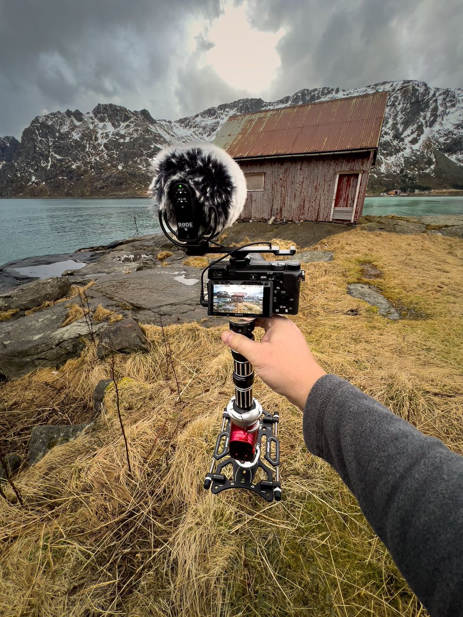 Platypod 📸 tweet media