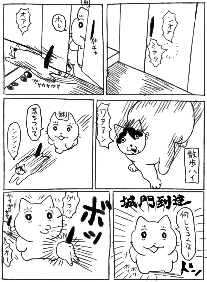 猫は無傷