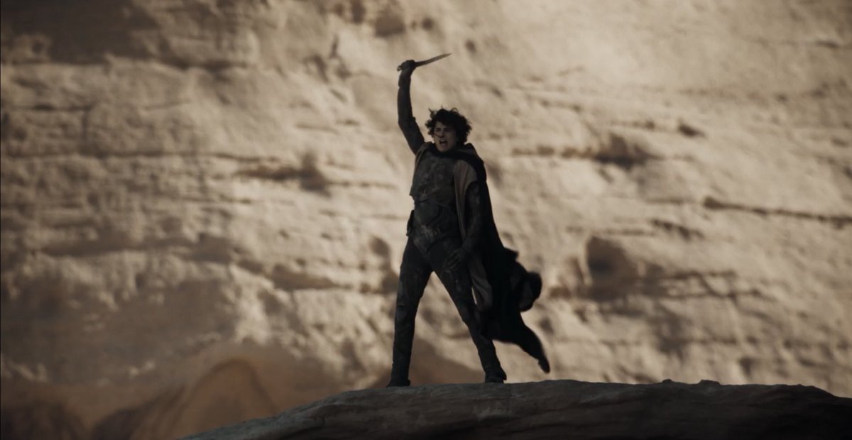 Timothée Chalamet Updates tweet media