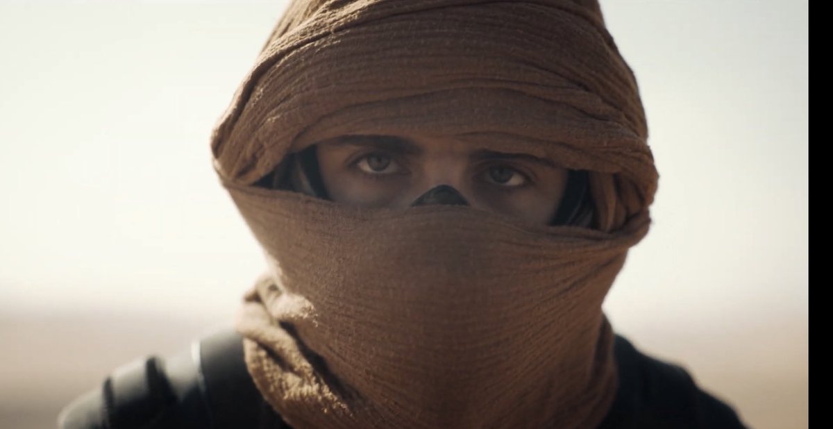 Timothée Chalamet Updates tweet media