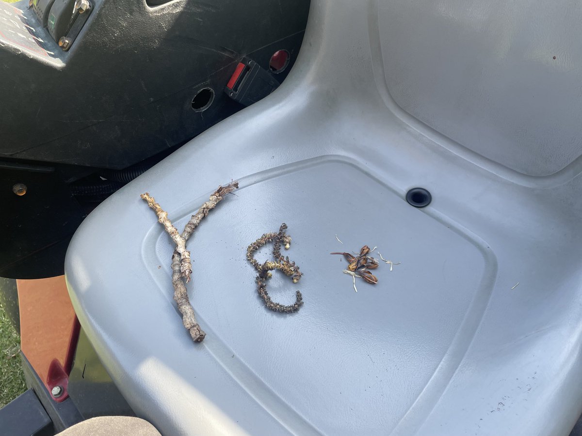 Wade Peckham tweet media