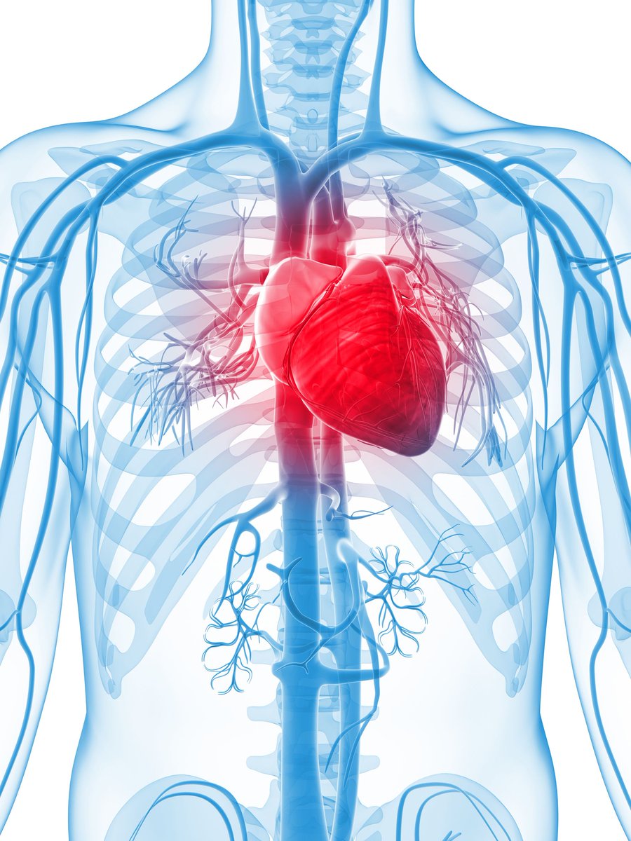 NHSKFH's tweet photo. Knowledge and library services supporting #NursesDay research. @impmedlib helped a cardiology nurse streamline and refine her systematic search to reduce health inequalities for cardiac rehabilitation patients  Find how your library can help you https://t.co/tdGt9NJW9p @NHSKFH https://t.co/yVfQeZghsX