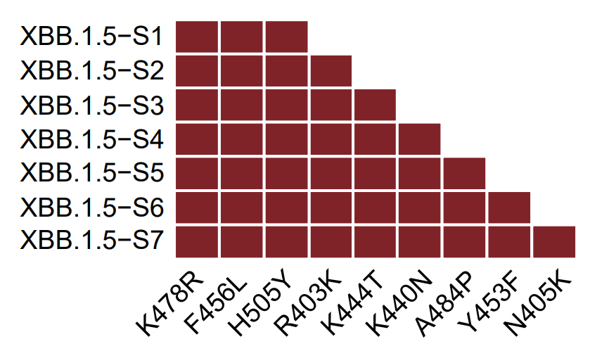 Yunlong Richard Cao on X: It's critical to test how these RBD hotspots  could combine to achieve max immune evasion without losing affinity to  ACE2. After careful consideration, besides the emerging K478R/F456L