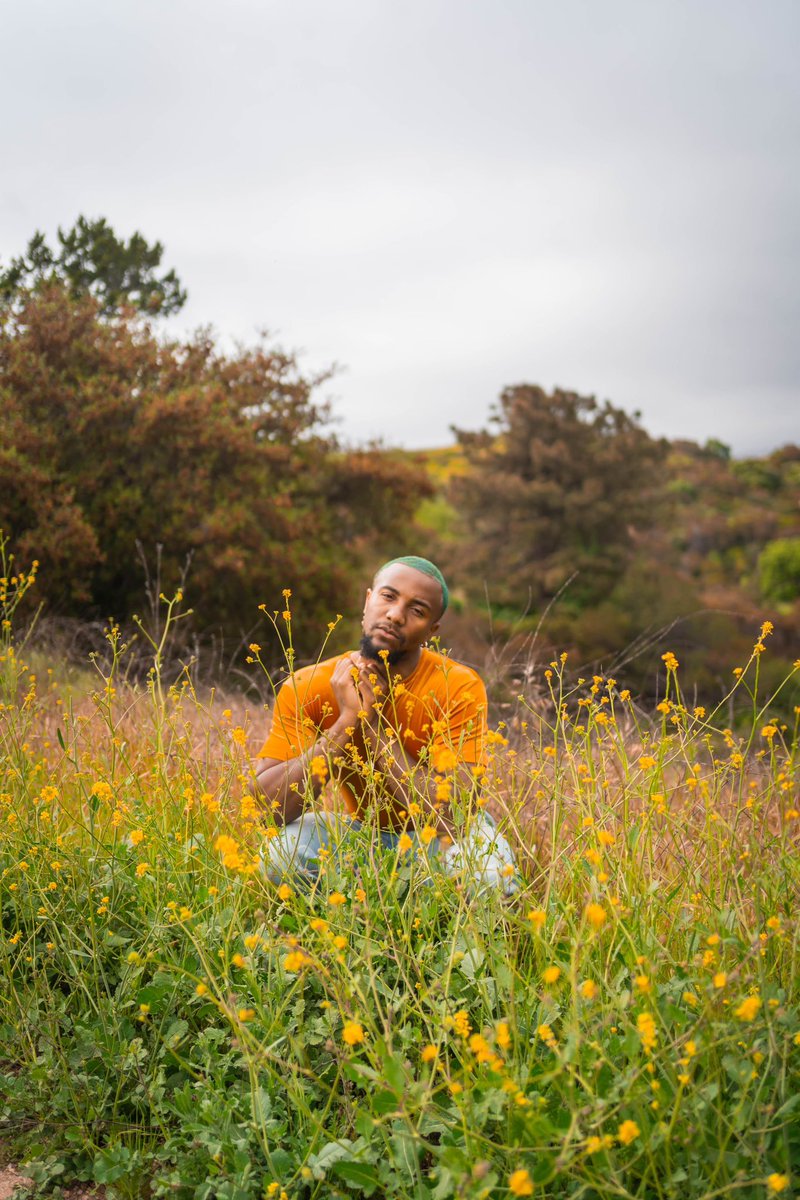 chromonicci. tweet media