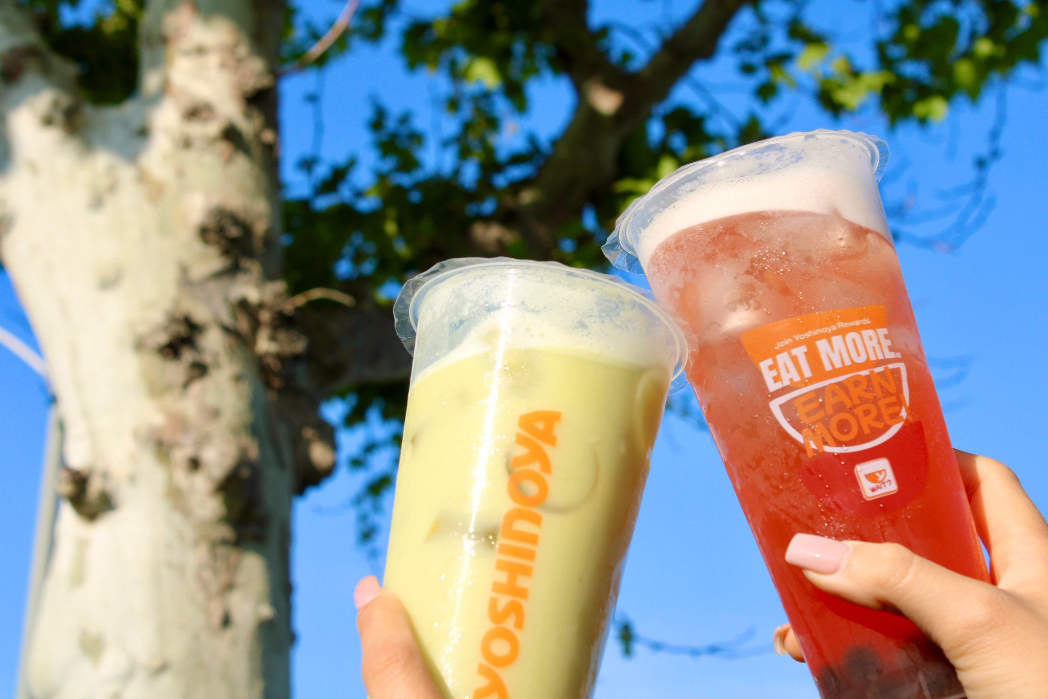 Yoshinoya America On Twitter It s Poppin At Yoshinoya Have You Tried Our New BOBA Teas Yet yoshinoya-america-on-twitter-it-s-poppin-at-yoshinoya-have-you-tried-our-new-boba-teas-yet