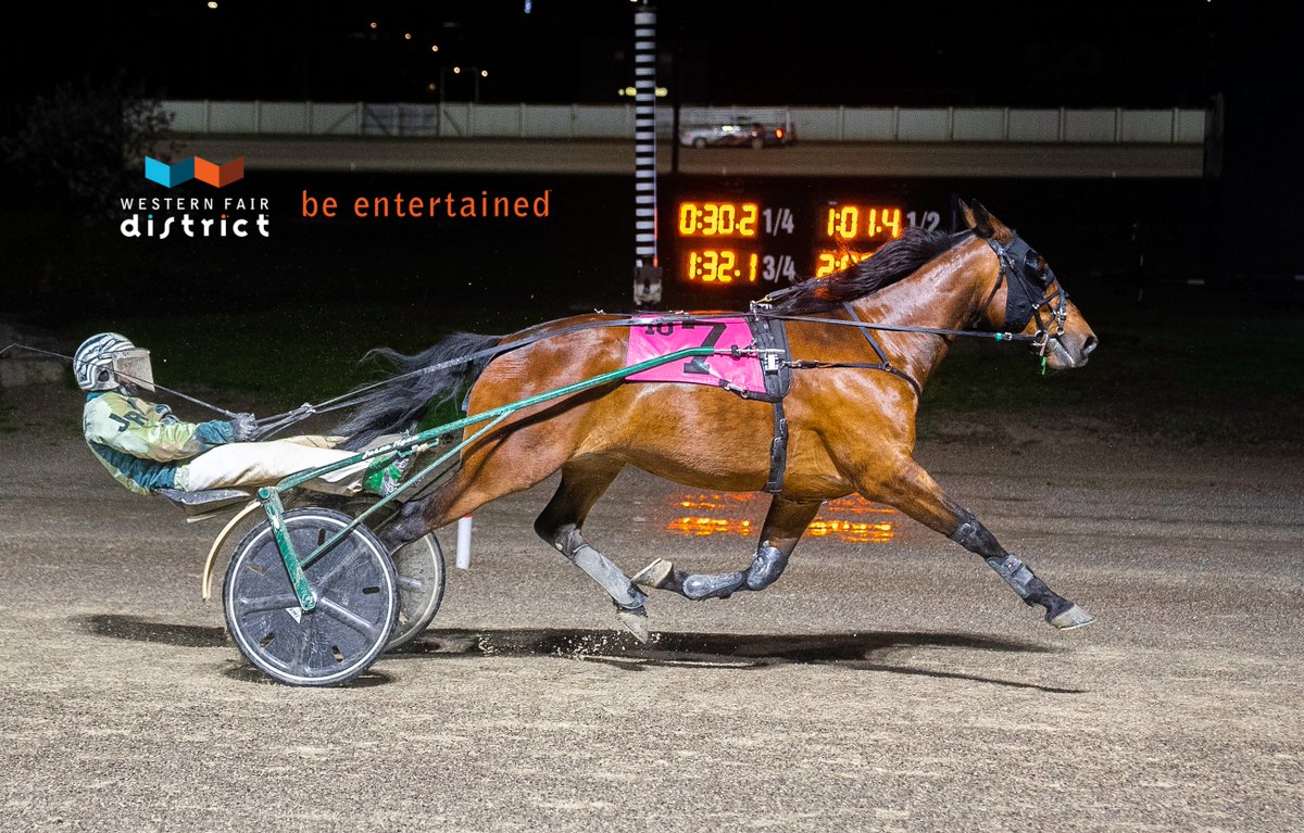Here's Jason Ryan driving for the triple on Tuesday aboard MISSYS MAGIC MAN for owner/breeder Ron Corbett <a href="/TheRacewayWFD/">The Raceway</a>. 
📸 Matthew Dodgson