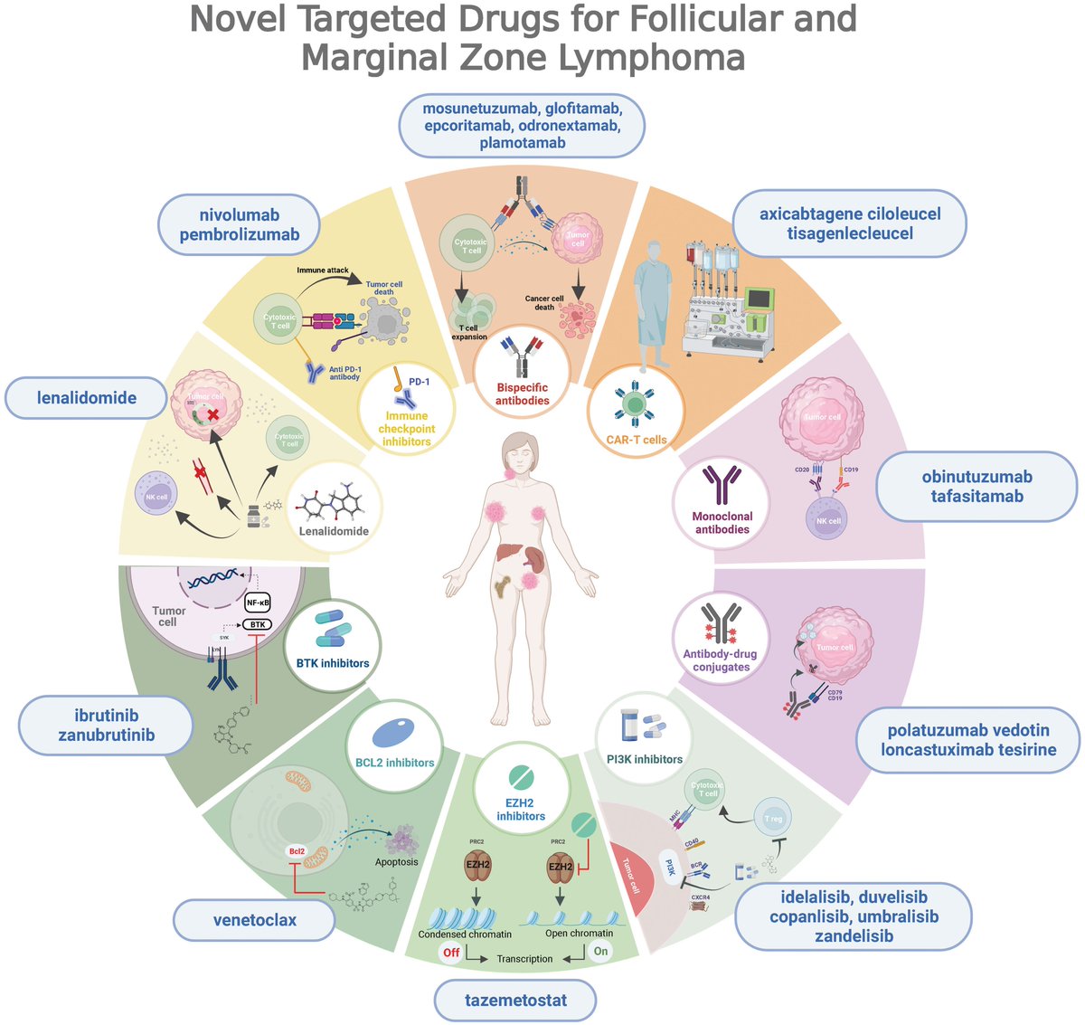 Excellent review on updating and new therapeutic options in the treatment of #lymphoma.
frontiersin.org/articles/10.33…