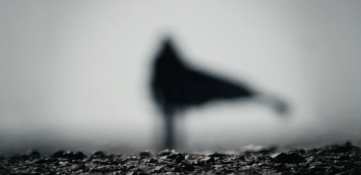 Zack Sharf on Twitter "That Greig Fraser cinematography 🔥🔥🔥🔥🔥🔥🔥🔥🔥🔥🔥🔥🔥🔥