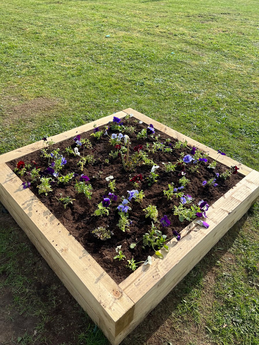 TGPS_NorthLincs's tweet photo. Year 1 and year 2 Gardening Club have been busy planting rose bushes and pansies in the Kings Coronation Garden. #TGPSbritishvalues #wellbeing https://t.co/JyoxAzPAvD