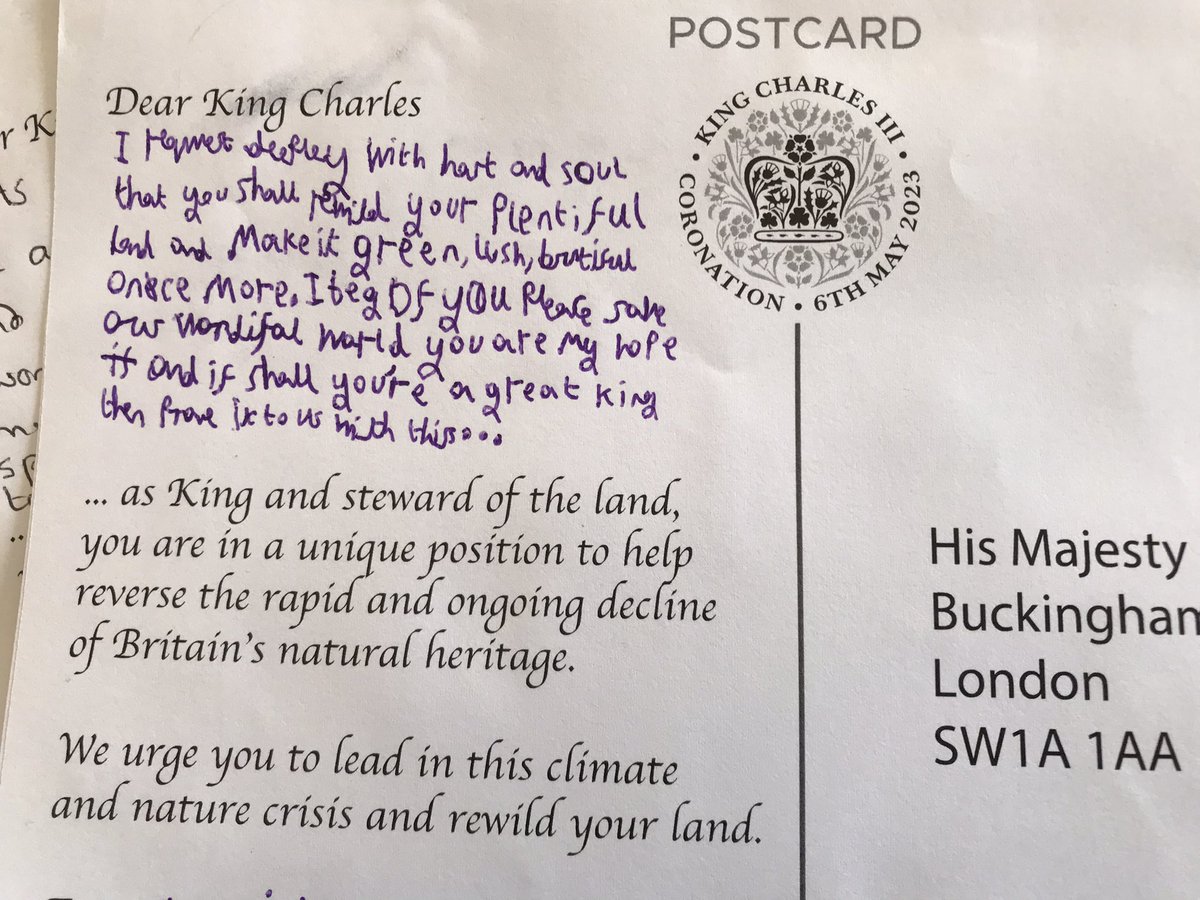 I was writing a postcard to the king using the @wildcardrewild template and my lad wanted in on the action. 

His is far more eloquent than mine 😀 though he’s worried the king will be angry at his handwriting 😢 hopefully he cares more about the content.

#RewildTheRoyals