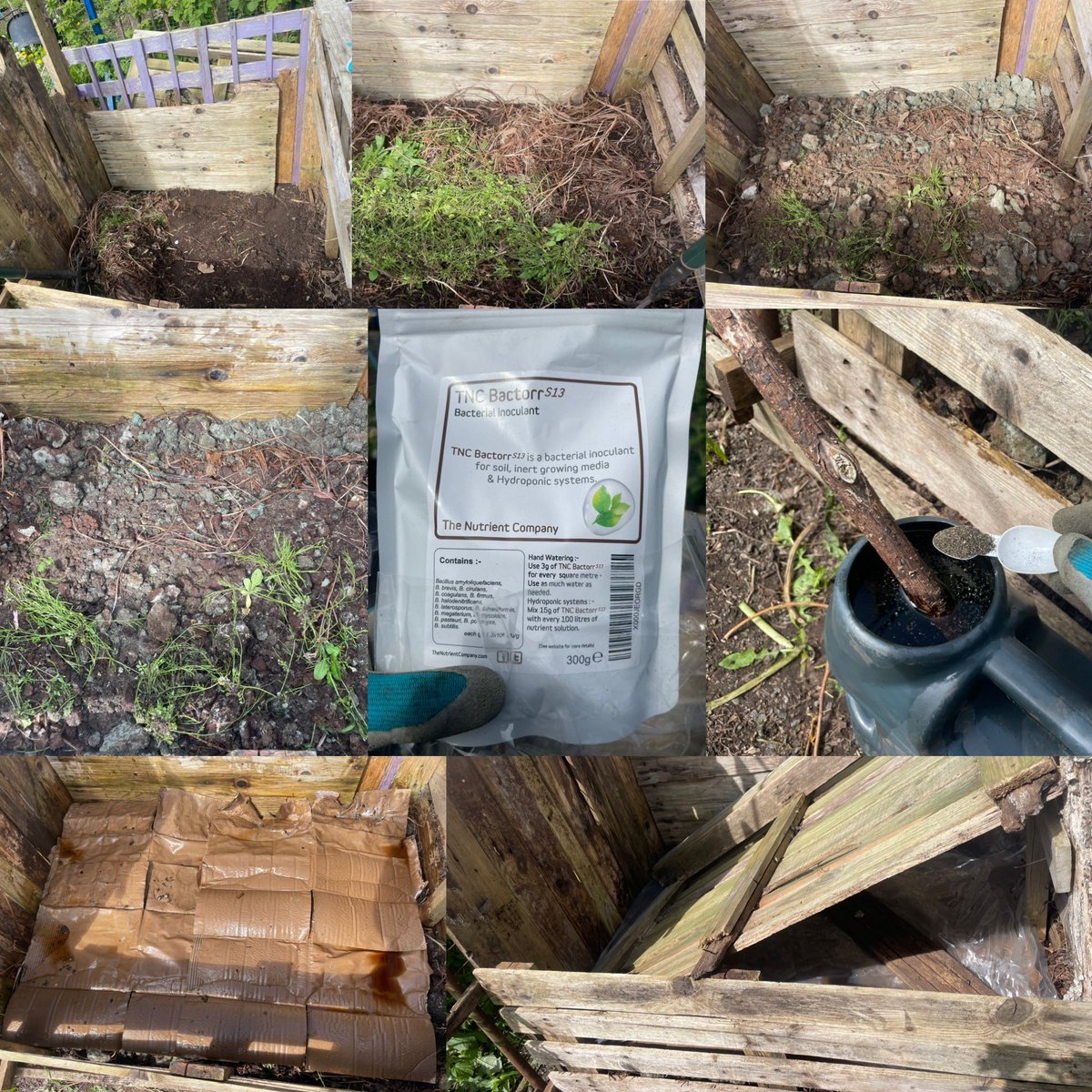 Using spent coffee grounds in compost, also using a layering technique of green (nitrogen) &amp; brown (carbon) watering each layer using TNC Bactorr S13 from @thenutrientcompany. Covered with a plastic sheet and pallet to make it lovely warm damp for our worms #homesweethome