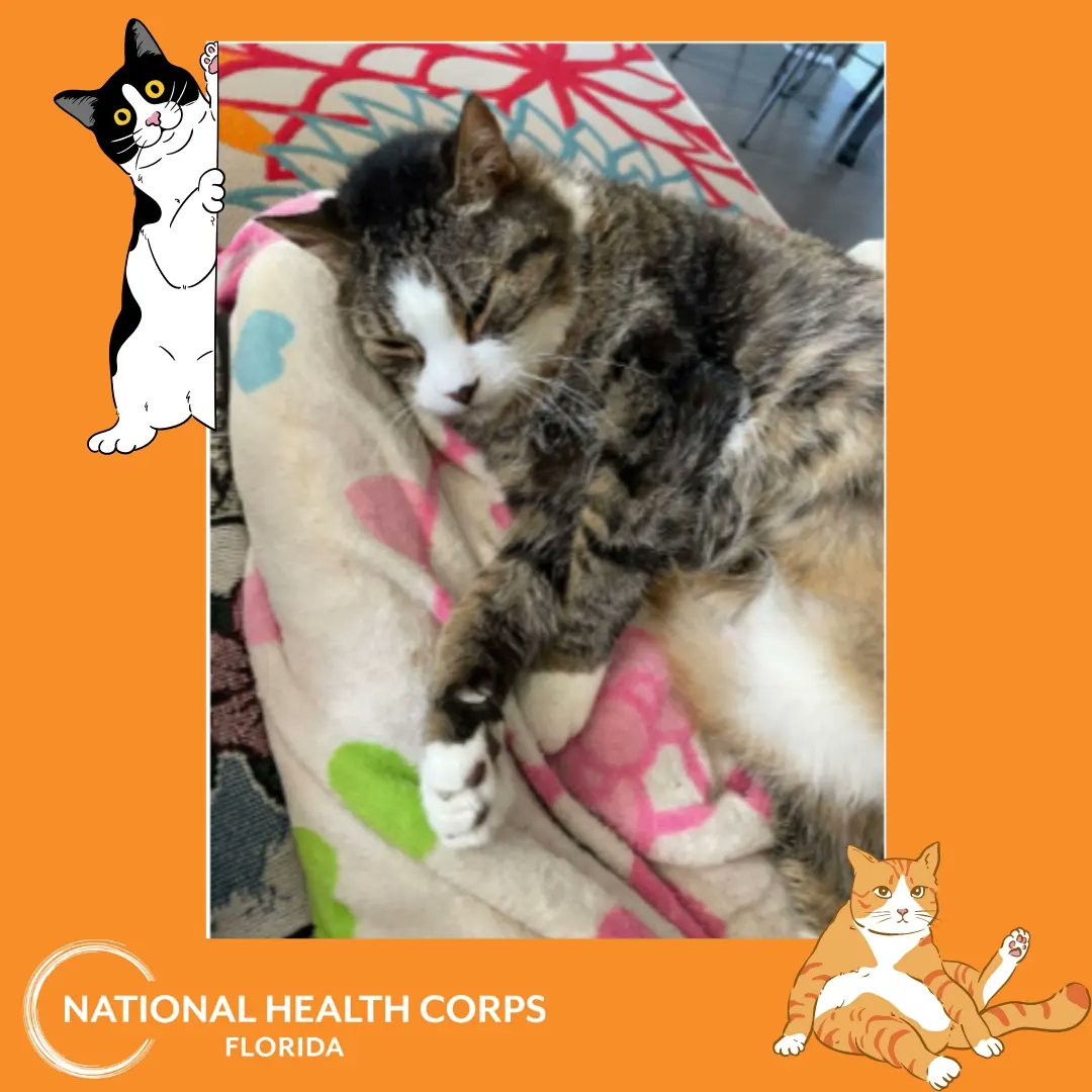 Nat'l Health Corps tweet media