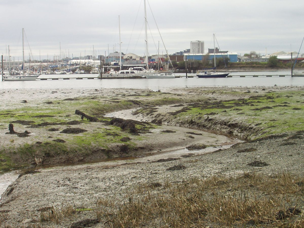 Local elections tomorrow - Thursday 4th May.
Take your ID
Let's hope those elected care about our green and blue City spaces.

#parks 
#gardens 
#wildlife 
#nature 
#river 
#City 
#Southampton