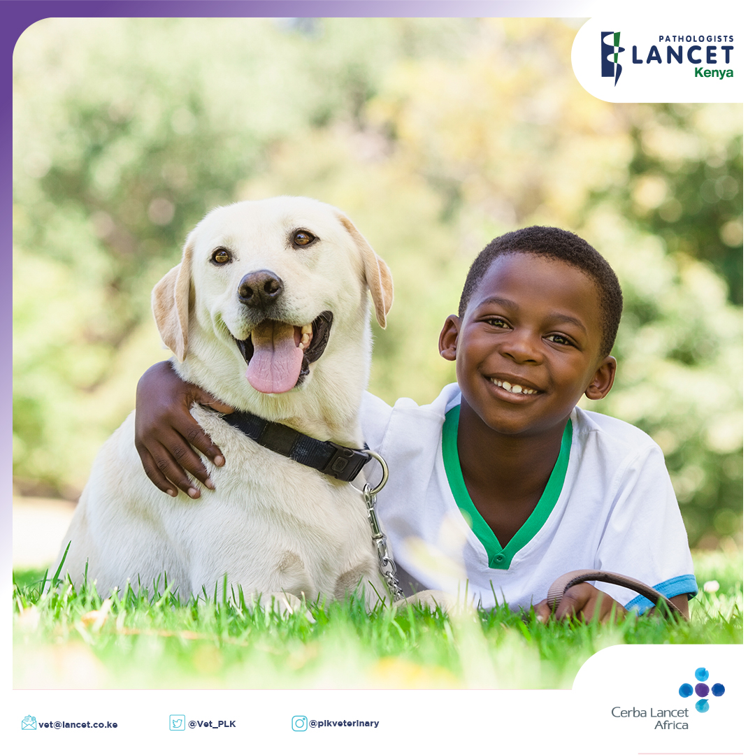 May 1 to 7 is #PetWeek

We take this opportunity to appreciate #responsible #petowners taking care of their wonderful pets. Keep doing the good work you always do.

Remember to take your pet to the #vet regularly.

Contact us on:
vet@lancet.co.ke

#pathologistslancetkenyacares
