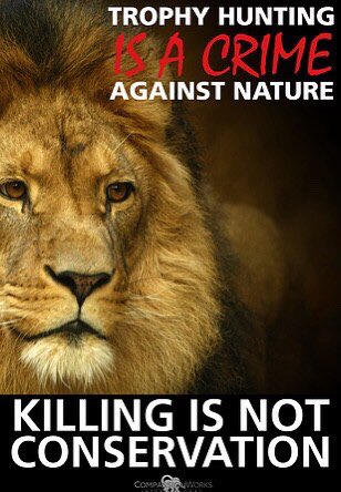 domdyer70's tweet photo. Wake up those in the scientific community supporting this horrendous corrupt industry. Your making deals with the devil &amp; your on the wrong side of history. “Killing for conservation” is not the answer https://t.co/aDNfA4RvYN
