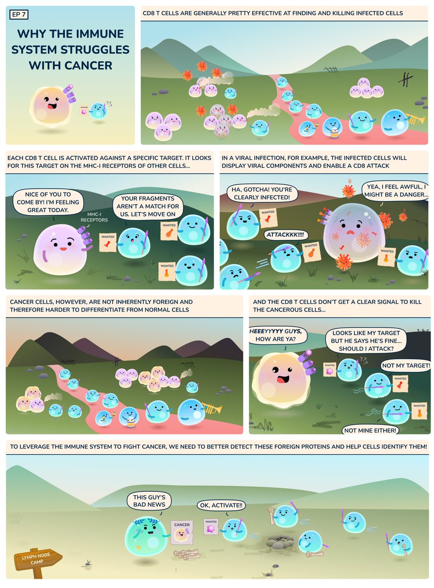 While our #immunesystem is very powerful, #cancer can be tricky to fight. Cancerous cells are very similar to normal cells and hard to detect by an immune system that evolved to fight infectious diseases, e.g. viruses, which are obviously foreign. #cellstories