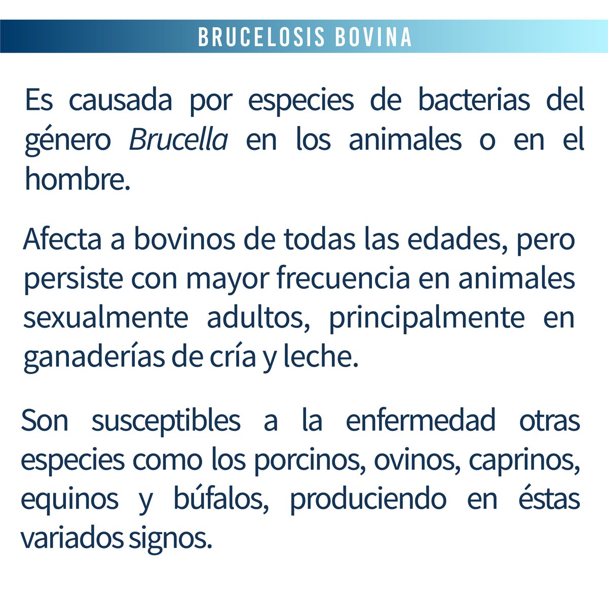 revmvz's tweet photo. BRUCELOSIS #Brucelosis #Brucella #bacteriasgramnegativas #zoonosis #bacterias https://t.co/WZyIX9udBO