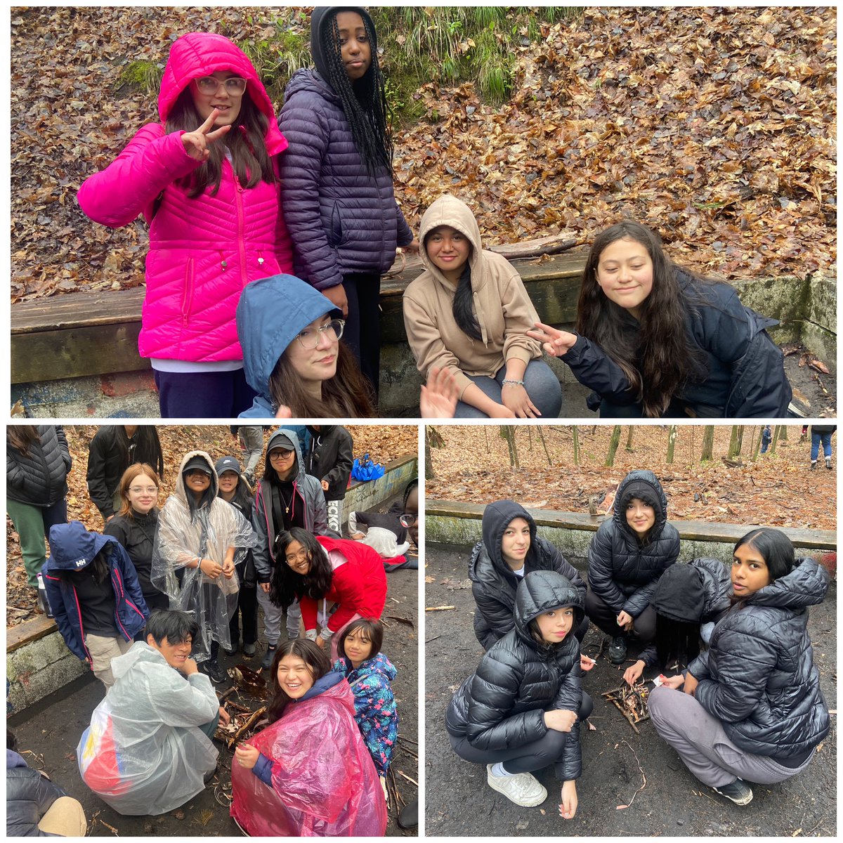 MrAndrewSousa's tweet photo. Wilderness survival 🔥: We learned how to build a sturdy shelter and gather materials to build and sustain a fire to survive in the wilderness. We also found some critters along the way for some hands-on learning 🦎 🐿️  @SFX_TCDSB @mslauranigro @rendaj6 @MsRoccosanto https://t.co/FijuqJ4Ud2