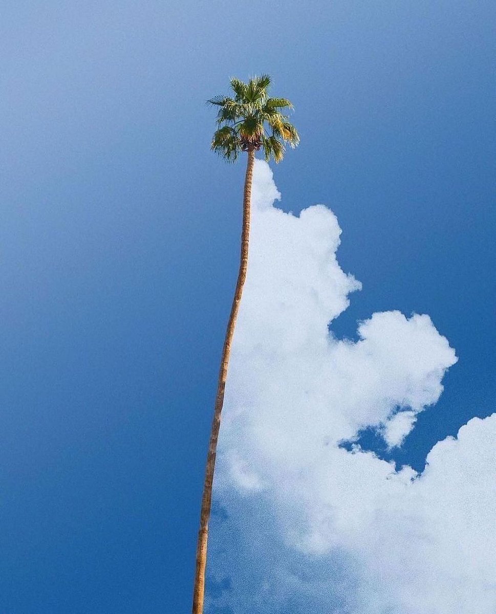 Somewhere Art ᵍᵐ tweet media