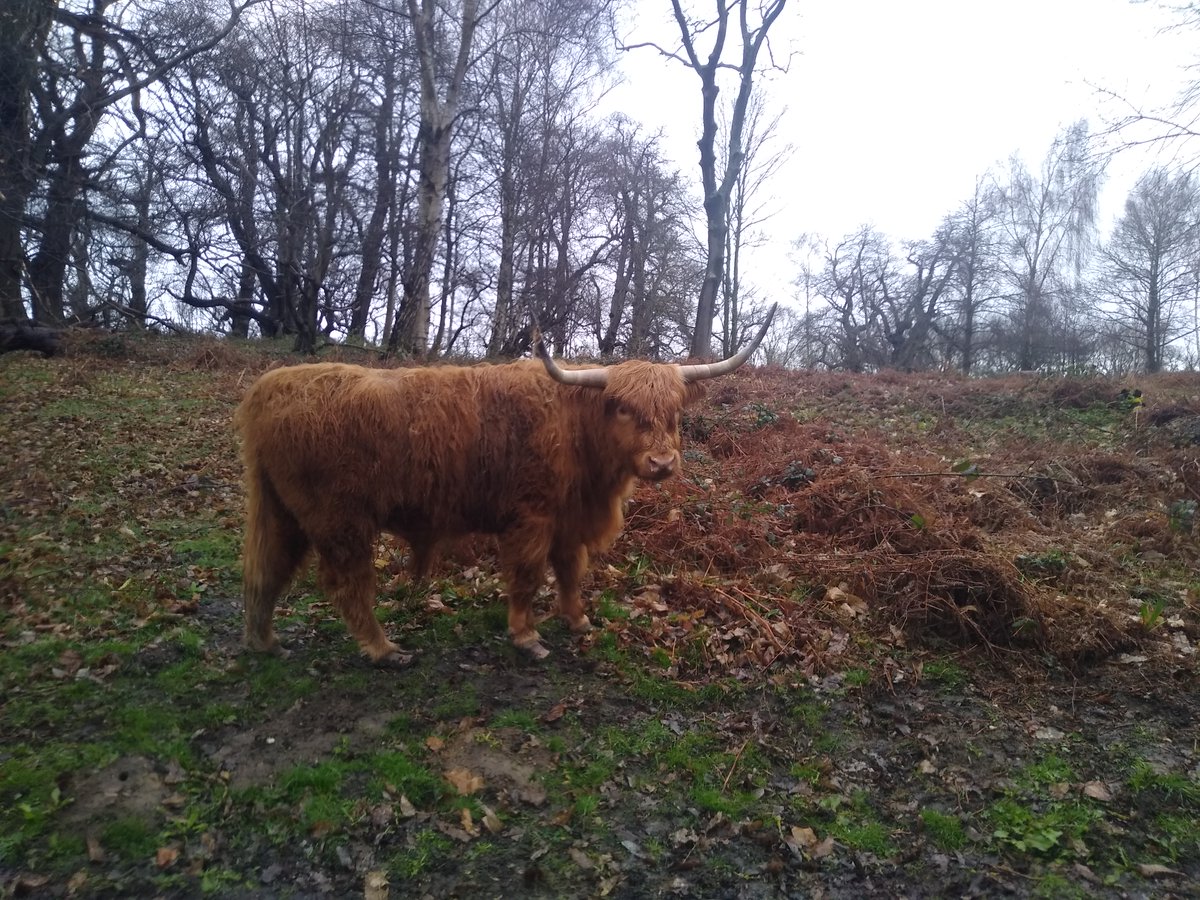 HeartofKentWalk's tweet photo. On the 26 March, John from Hike South East took 2 walkers on the 'Luddesdown and Cobham Hike' as part of the Heart of Kent Walking Festival 2023.

Although it was wet and muddy, it was good fun and a great hike with plenty of interesting stories!

#HOKWalkingFestival #walks #Kent https://t.co/0xX944ulSB
