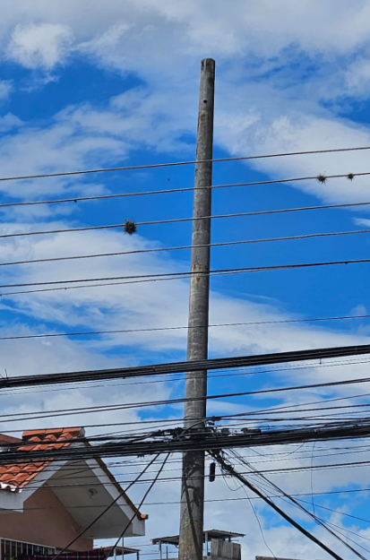 ManoloBasantes's tweet photo. @ElectricaQuito @rbpj76 @ObrasQuito @santiguarderas @aguadequito @MunicipioQuito @CNT_EC Que raro que un poste con aislador pin y pararrayos sean de CNT.. Por las modificaciones del sector ya no hay esos elementos, pero quedo el poste y se va a caer en cualquier momento,  vengan y retiren. https://t.co/DcvDQuWaWF