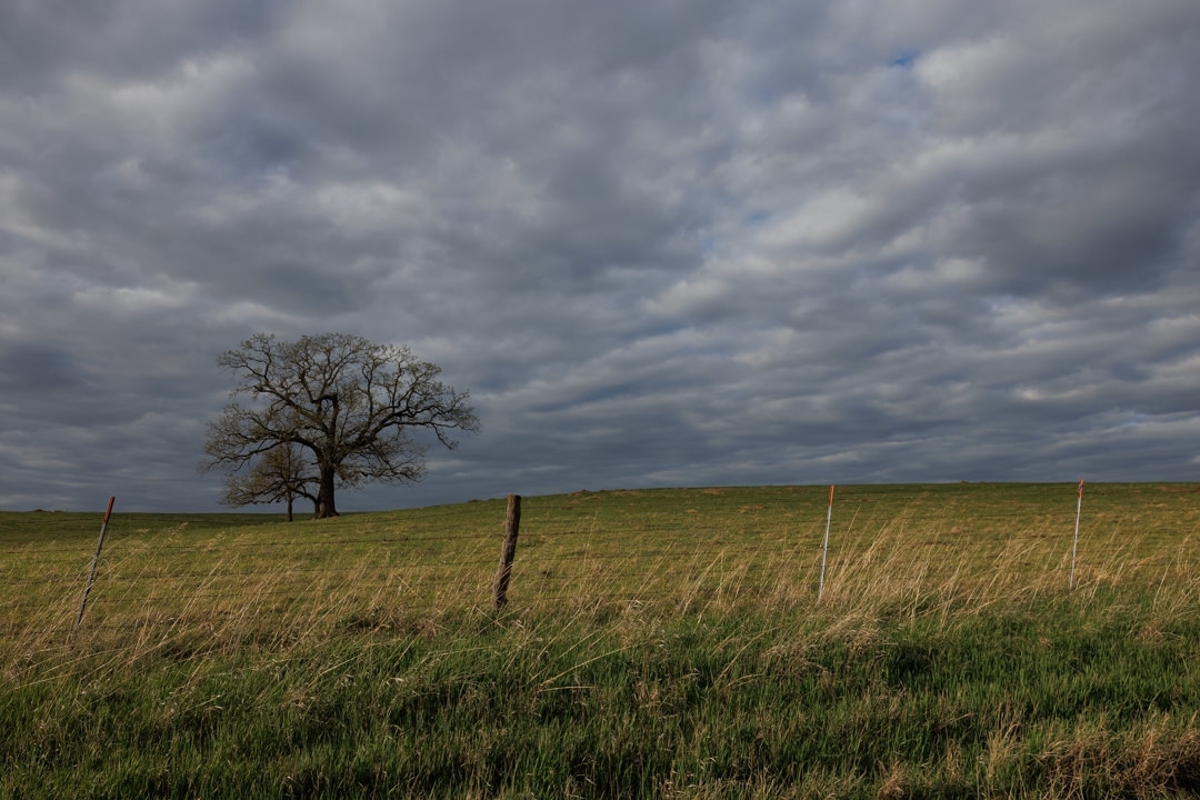notleyhawkins's tweet photo. Rural landscape in Sullivan County, Missouri. Photography by Notley Hawkins. #missouri #rural #field #farmfield #sky #clouds #cloudysky #midwest #bucolic #pastoral #outdoors #landscape #fence #barbedwirefence #tree #notleyhawkins https://t.co/6Lt0w2mryE
