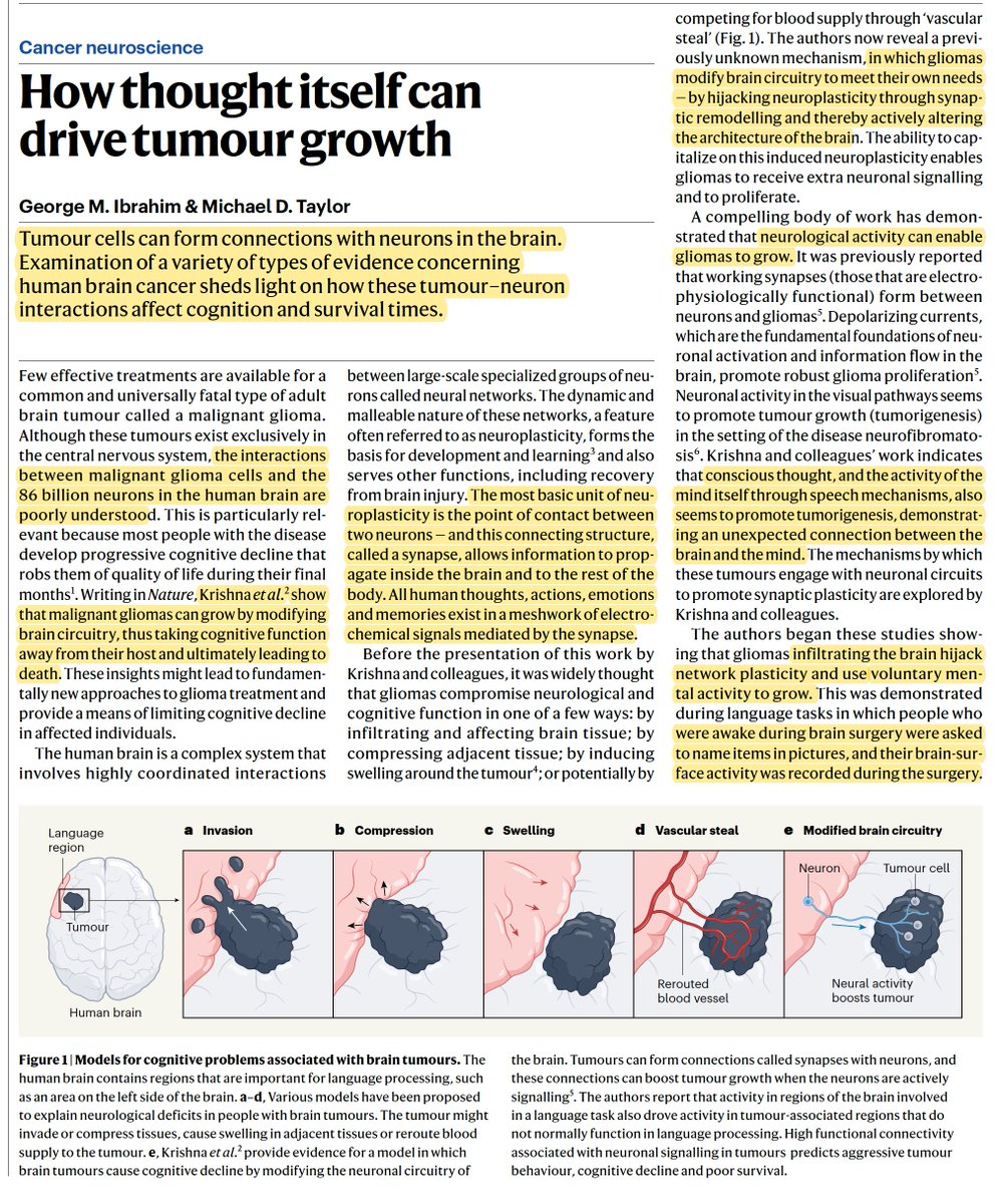 A fascinating report <a href="/Nature/">nature</a> today on the bidirectional interaction of brain/mind and cancer
nature.com/articles/d4158…
nature.com/articles/s4158…