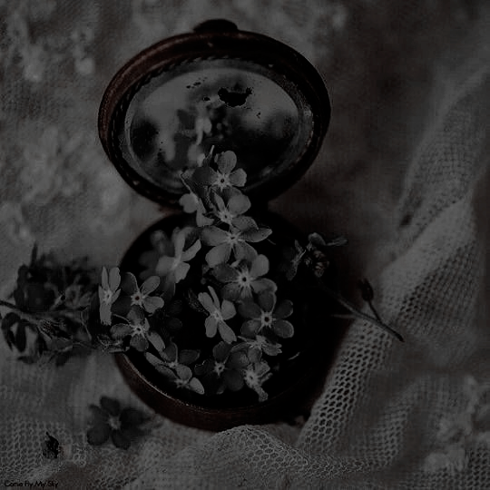 𝐒 𝐄  𝐁 𝐔 𝐒 𝐂 𝐀:  

Bellatrix Black.  

1ª generación. Slytherin. 
Se prometen tramas y buenos dramas.  
rt para animar a la gente a conseguirla.