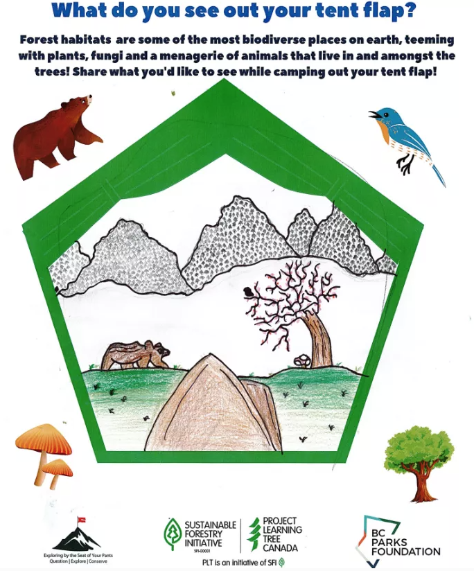 EBTSOYP's tweet photo. Huge thanks to our #teachers for participating in the forest art art contest with @bcparksfdn and @PLT_Canada! We announced our winners today and it was HARD! Check out two of the prizewinners below and the full padlet at
https://t.co/1NDEK1iXcH https://t.co/oziawQscbu