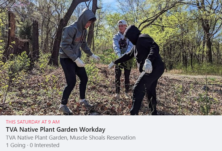 MSHeritageArea's tweet photo. Join us 9-11 a.m. Saturday to prune invasives as on the Native Plant Garden's trails, TVA Muscle Shoals Reservation, as part of Operation Pollination. Go to
https://t.co/S2JJ8dVu3D for details. https://t.co/TWEkDIoeNp