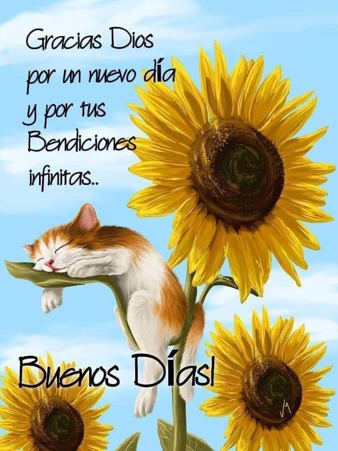 noemi_maruri's tweet photo. Bendecido día 🌻❤️👏🏻 https://t.co/EDyJevec2H