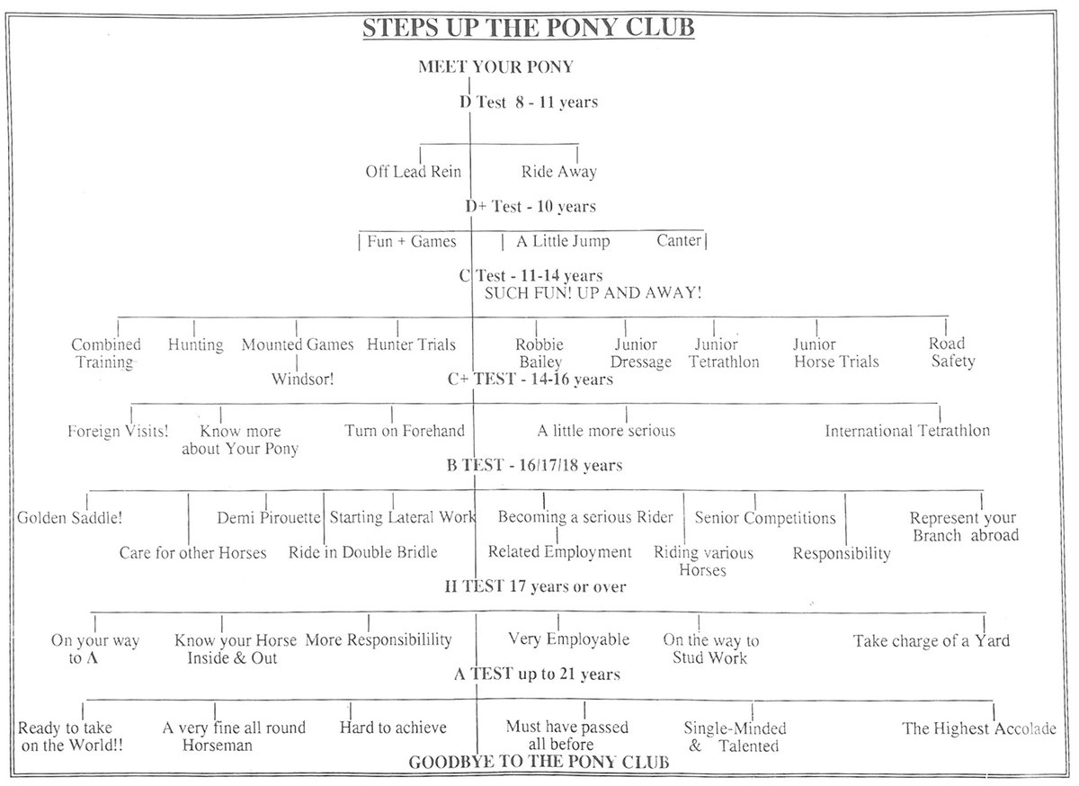 Claire Goodwillie tweet media