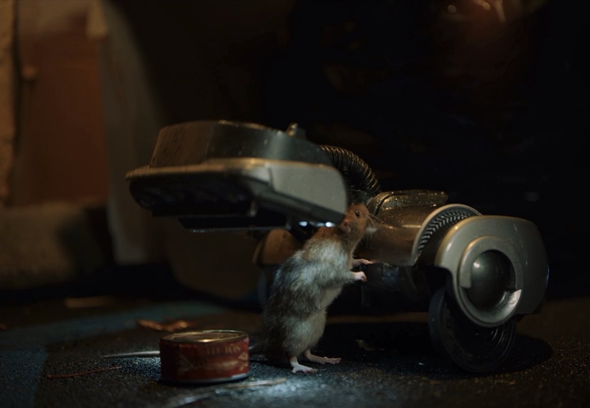 forlifeoutthere's tweet photo. 🐀 🫂 https://t.co/zWFKhbzPj7