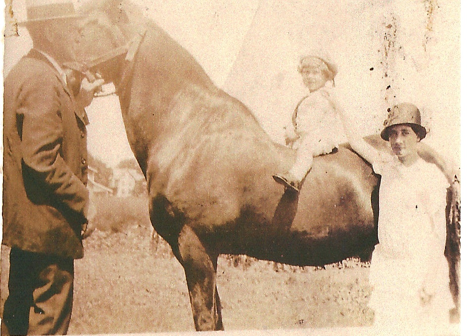 TameraLawrence1's tweet photo. My great-grandparents #Mumbower #mill #family #heritgage #horse #history #history #Henry #worcestor #time # https://t.co/Y6Xi8Qne21
