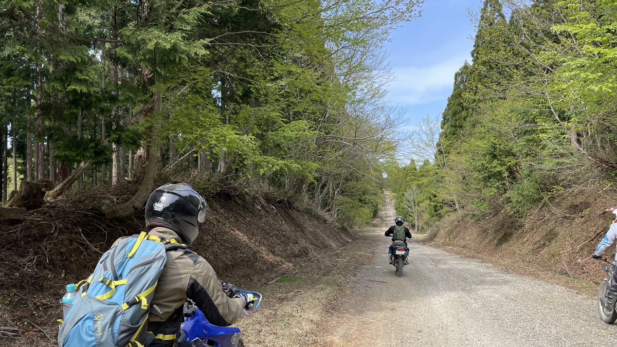shingo_wrf's tweet photo. GW後半は氷ノ山周辺の林道ツーリング!
先日ブーツの右側のバックルがちぎれて直したばかりなのに今度は左側が(>_<)
#TTR125 #氷ノ山 #林道ツーリング #EDPRO https://t.co/P1pU6vOfRn
