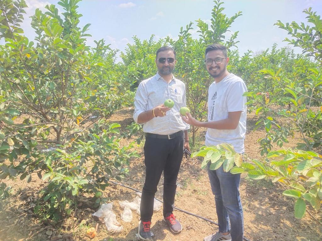 આજ રોજ મહીસાગર જિલ્લાના લુણાવાડા તાલુકામાં ઉકરડી. ગોવિંદપુરા (મ) પ્રાકૃતિક ખેતી કરતા ખેડૂતની મુલાકાત વિસ્તરણ અધિકારી શ્રી ગ્રામસેવકો દ્વારા મુલાકાત કરવામાં આવી. અને પ્રાકૃતિક તાલીમ કરી ખેડૂતોને જરૂરી માર્ગદર્શન પૂરું પાડવામાં આવ્યુ.
<a href="/DDOMAHISAGAR/">DDO MAHISAGAR</a> 
<a href="/Jrpatel28Patel/">DAO Mahisagar</a> 
<a href="/collectormahi/">District Magistrate & Collector Mahisagar</a>